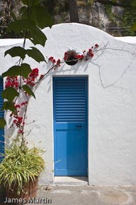 308372082_cuzoo8at_b