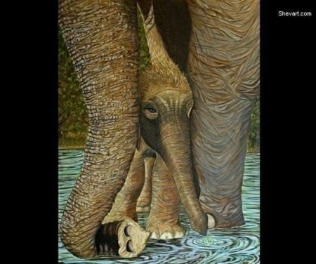 50102614574842351_xw41s6nw_c